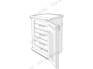 Холодильник Gorenje F6094W (174787, ZODS1066) - Фото